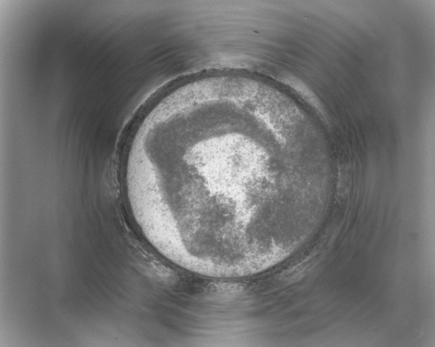 X0000073840878200608311932