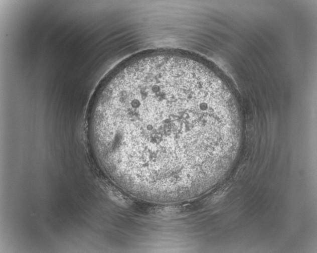 X0000073840879200608311932