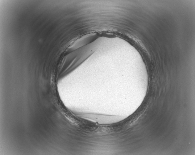 X0000073840881200608311932