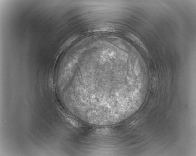 X0000073840882200608311932