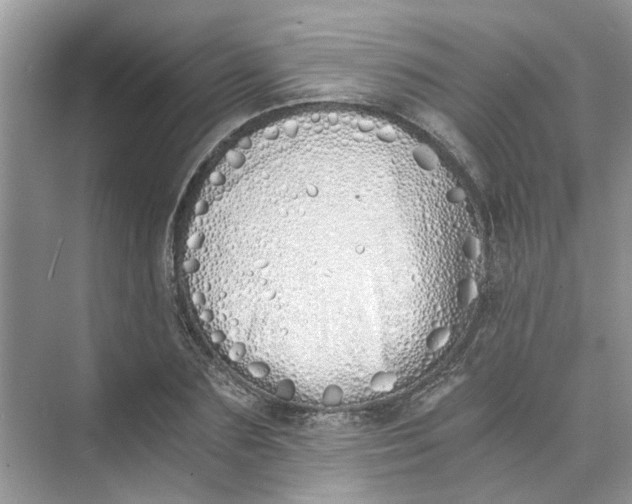 X0000073840883200608311932