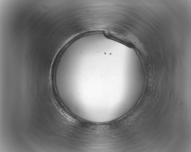 X0000073840884200608311932