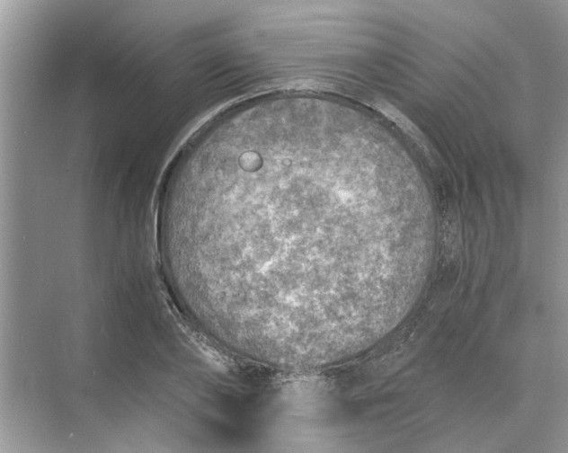 X0000073840886200608311932