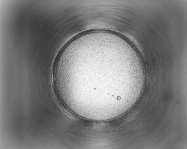 X0000073840887200608311932