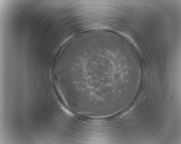 X0000073840889200608311932