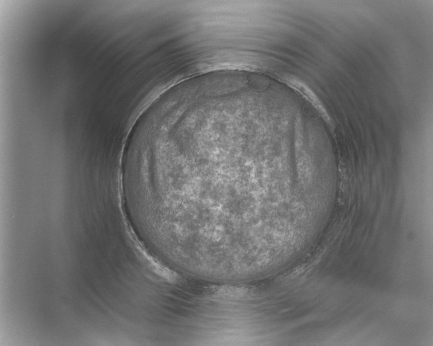 X0000073840890200608311932