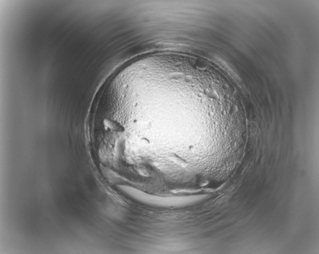 X0000073840891200608311932