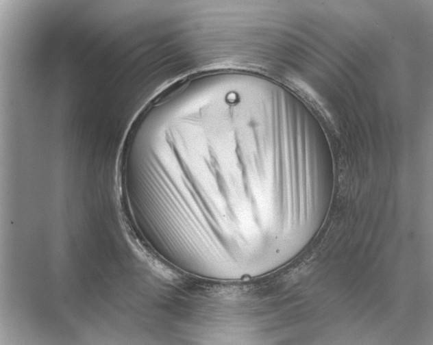 X0000073840892200608311932