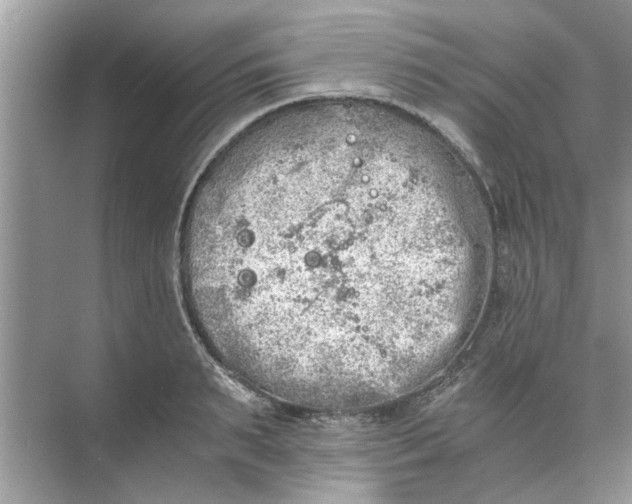 X0000073840895200608311932