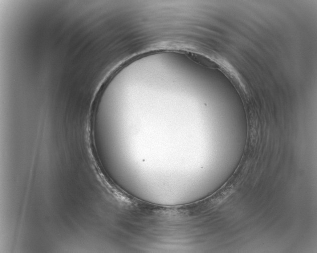 X0000073840896200608311931