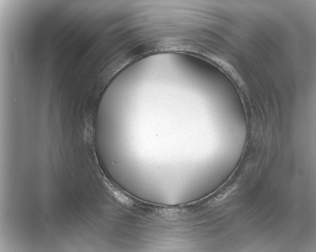 X0000073840897200608311931