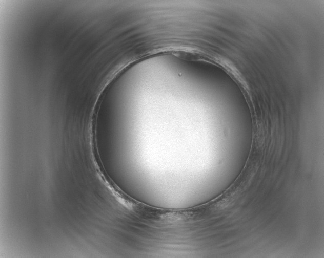 X0000073840898200608311931