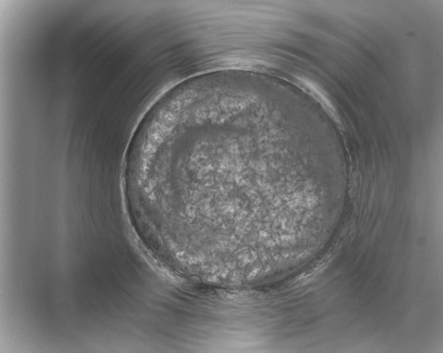 X0000073840899200608311931