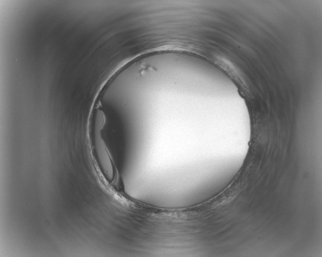 X0000073840900200608311931