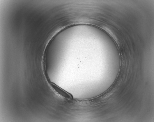 X0000073840901200608311931