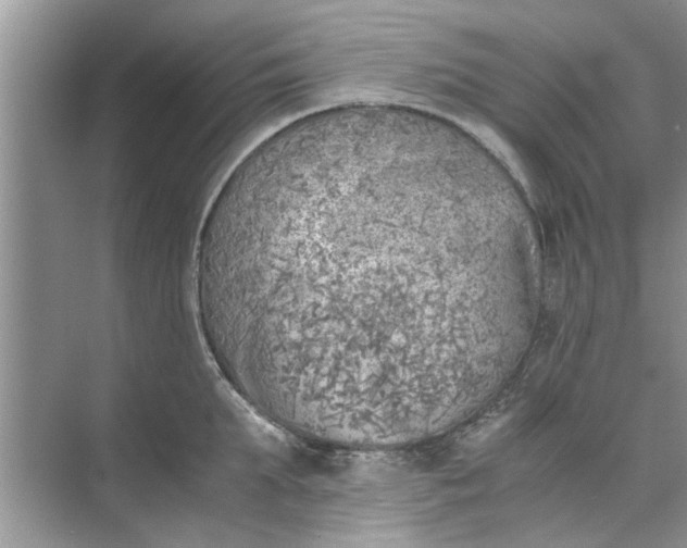 X0000073840903200608311931