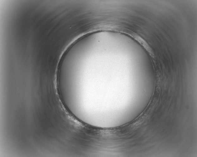 X0000073840904200608311931