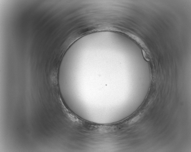 X0000073840905200608311931