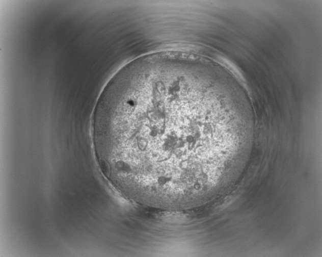 X0000073840907200608311931