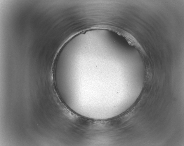 X0000073840908200608311931