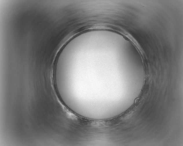 X0000073840909200608311931