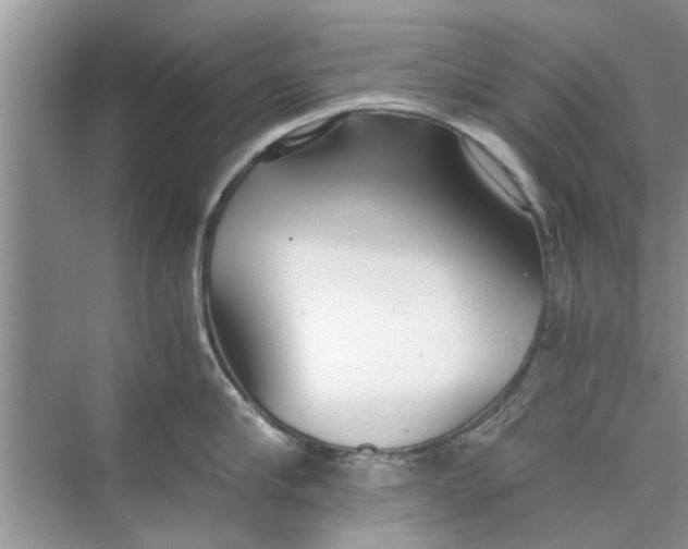 X0000073840910200608311931