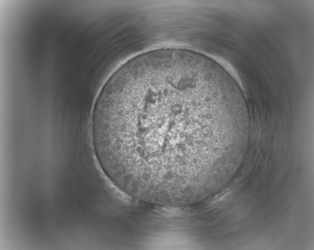 X0000073840911200608311931