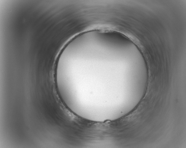 X0000073840912200608311931