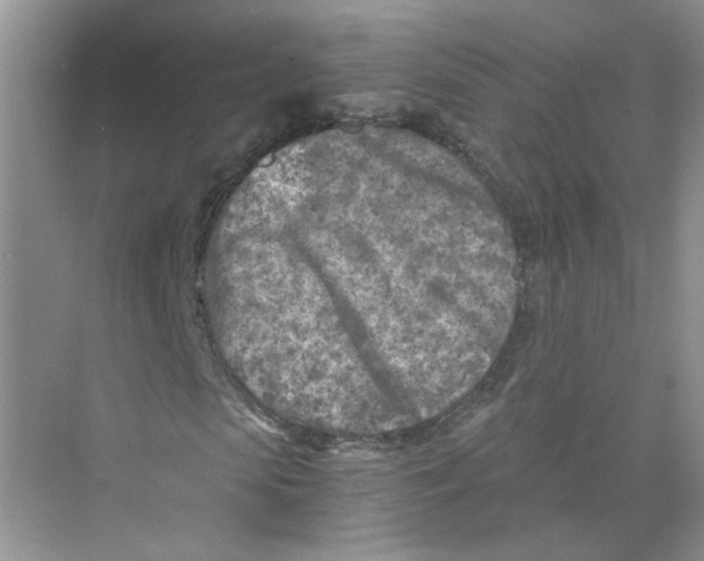 X0000073840913200608311930