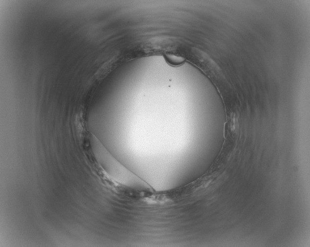 X0000073840915200608311930