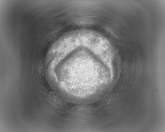 X0000073840917200608311930