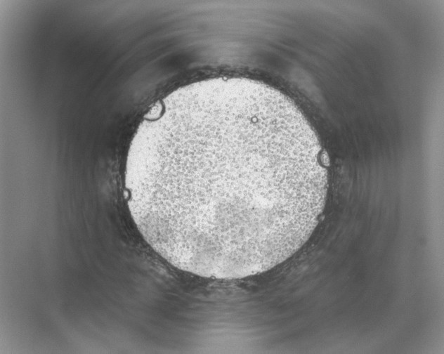 X0000073840918200608311930