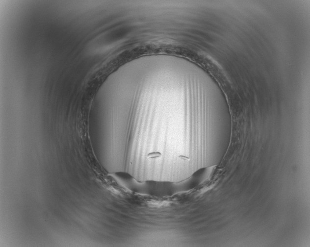 X0000073840919200608311931