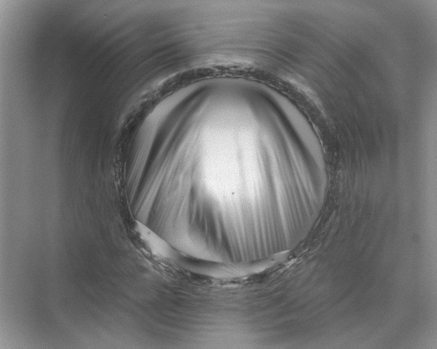 X0000073840920200608311931