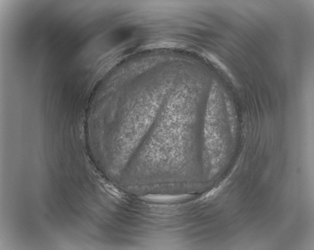 X0000073840921200608311931