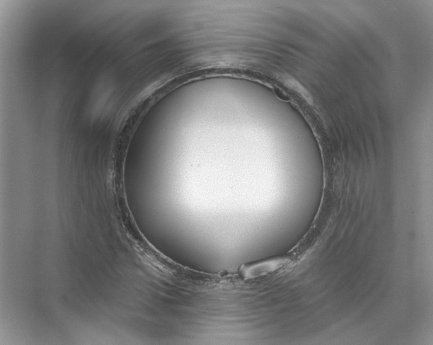 X0000073840922200608311931