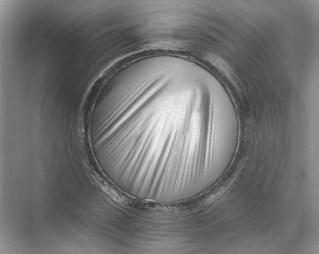 X0000073840923200608311931