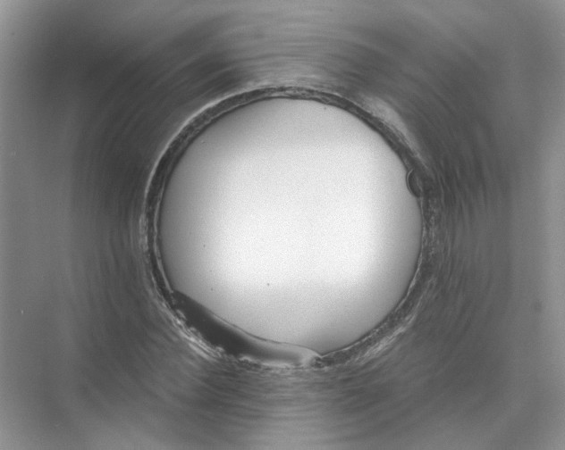 X0000073840924200608311931