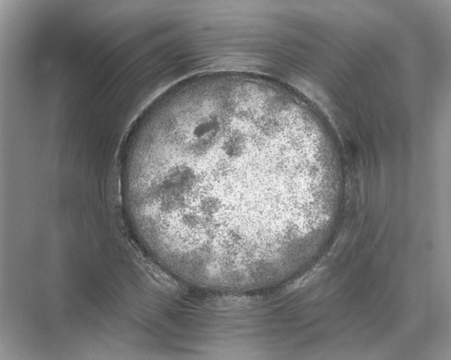 X0000073840925200608311931