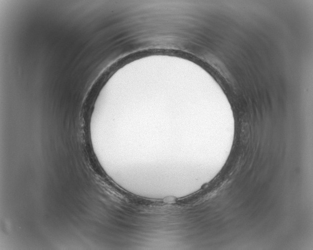 X0000073840926200608311931