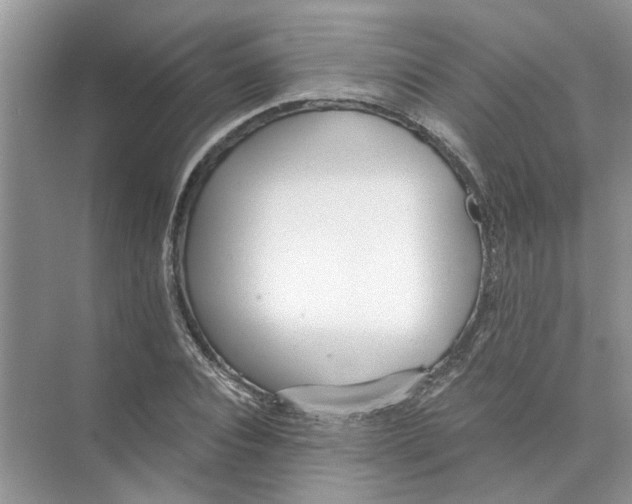 X0000073840928200608311931