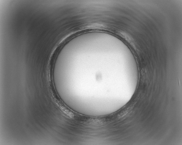 X0000073840931200608311931