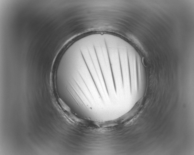 X0000073840932200608311931