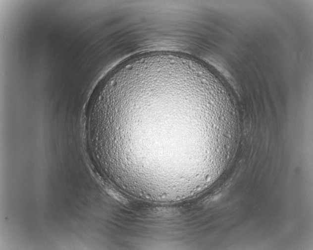 X0000073840933200608311931