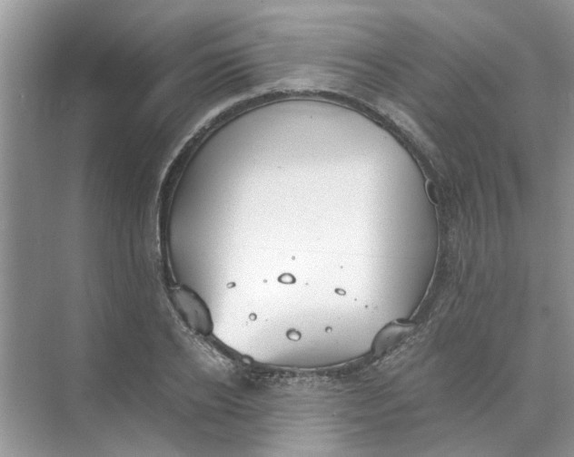 X0000073840934200608311931