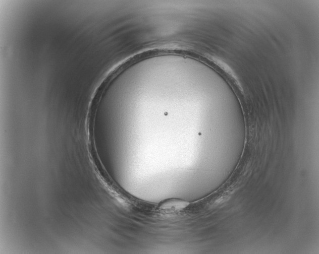 X0000073840935200608311931