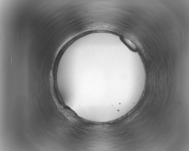 X0000073840936200608311931