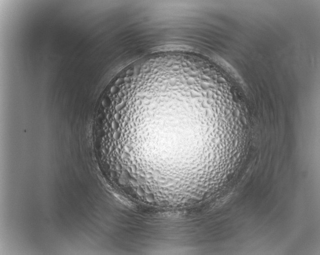 X0000073840937200608311931