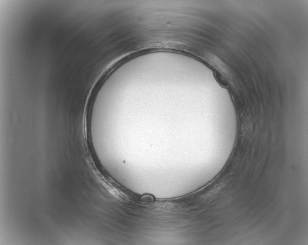 X0000073840940200608311931