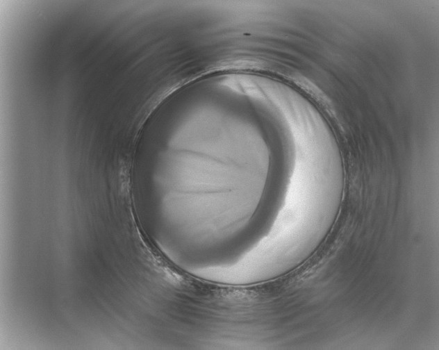 X0000073840945200608311931